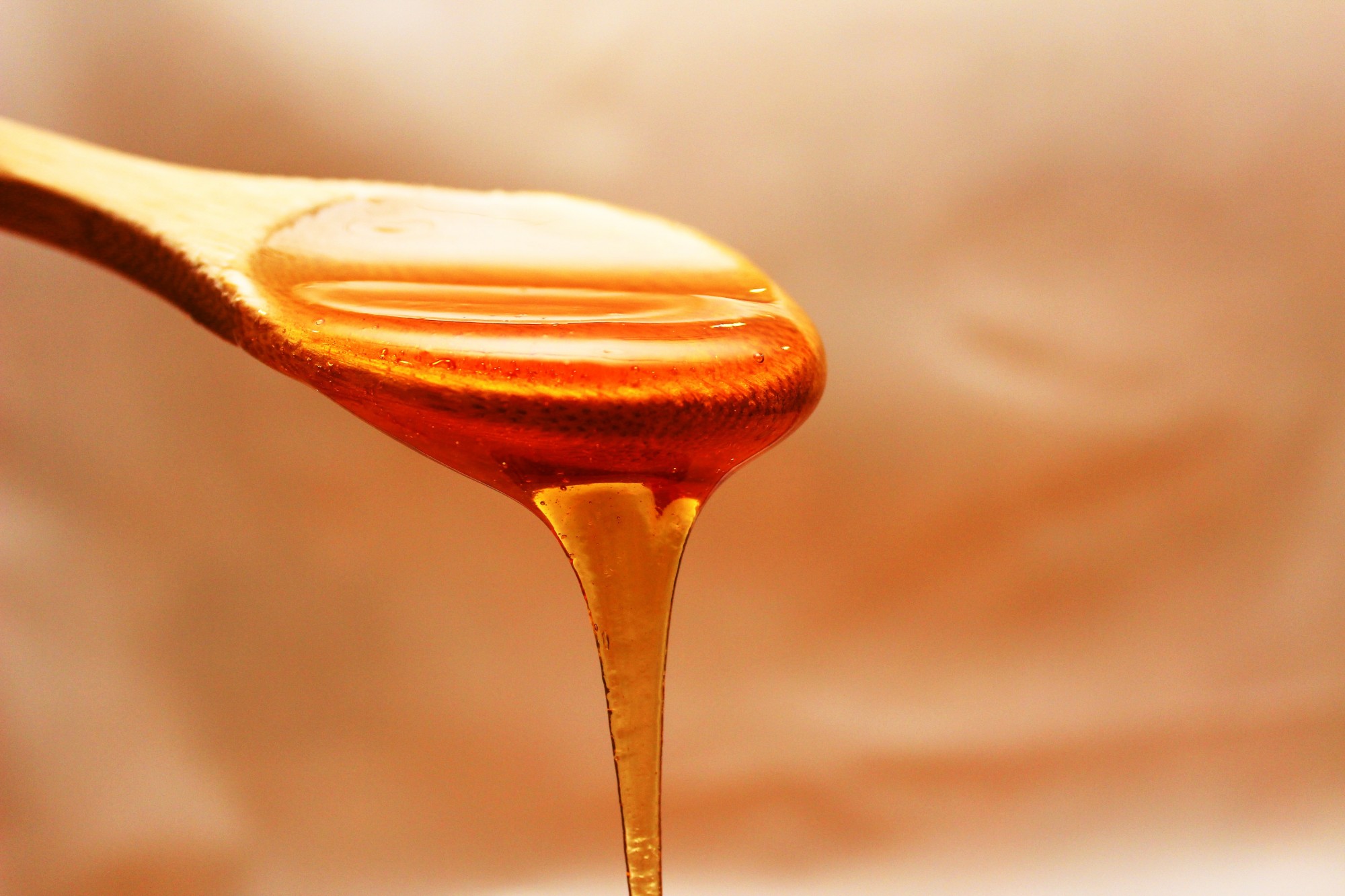 King Solomon compares honey’s sweetness to God’s wisdom. 